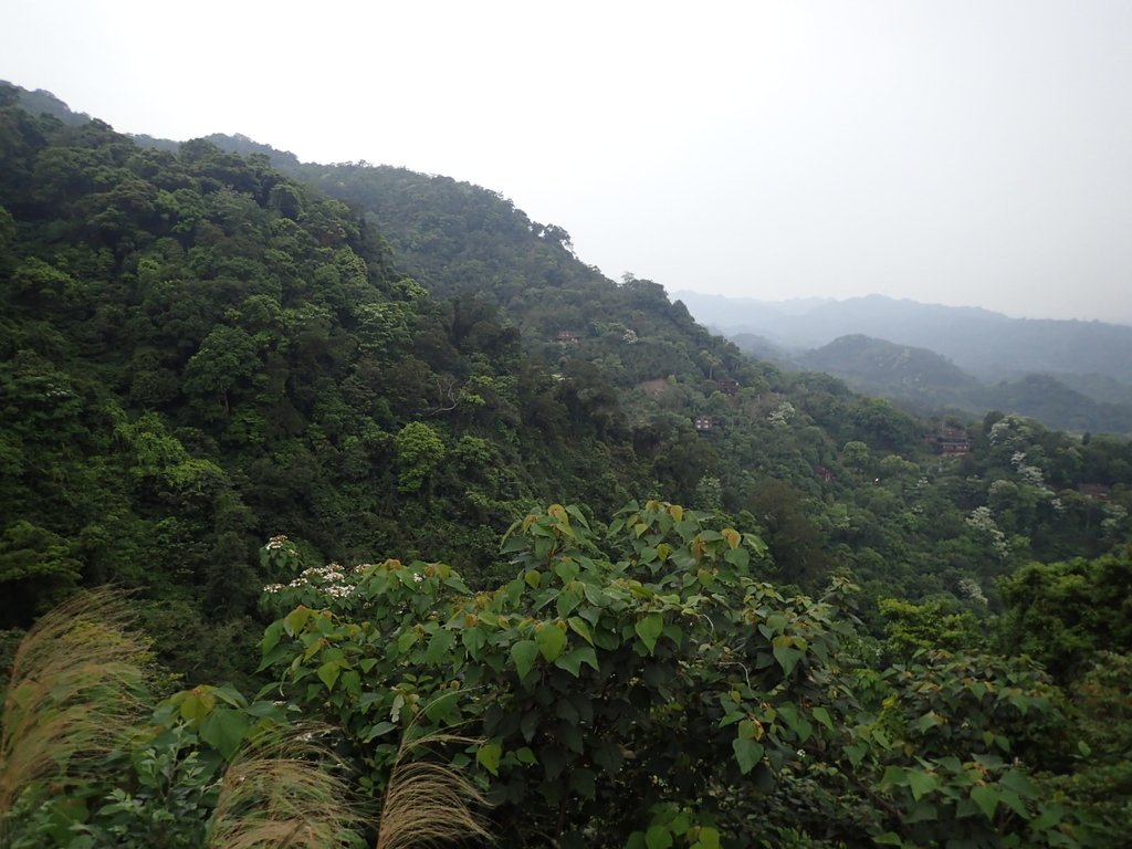 P4191862.JPG - 南庄  細湖頂  晴園山莊