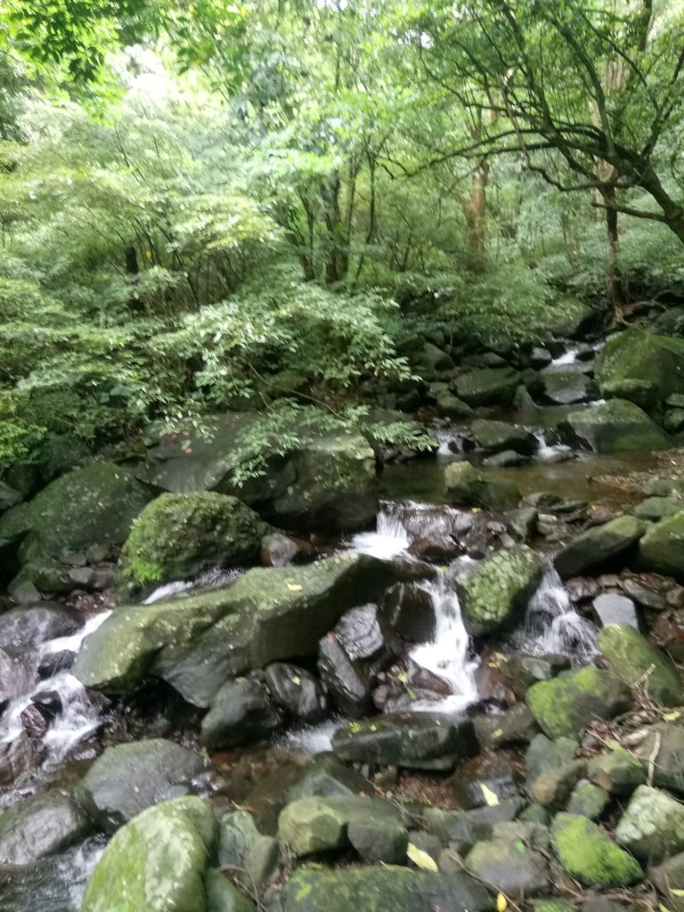 DSC_0697.JPG - 三芝  大屯溪古道