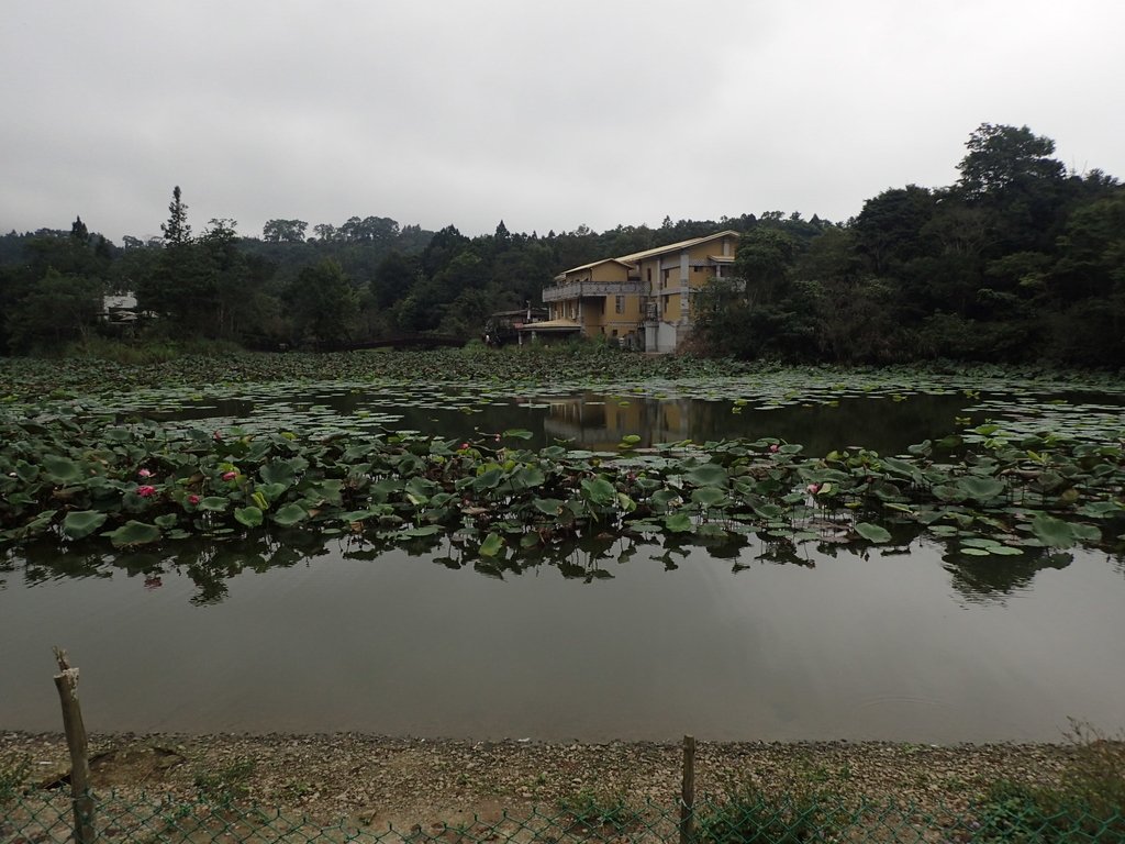 P9250264.JPG - 南庄  向天湖之  環湖步道