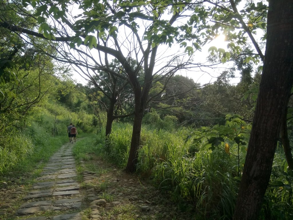 DSC_5818.JPG - 龍井  竹坑南寮登山步道