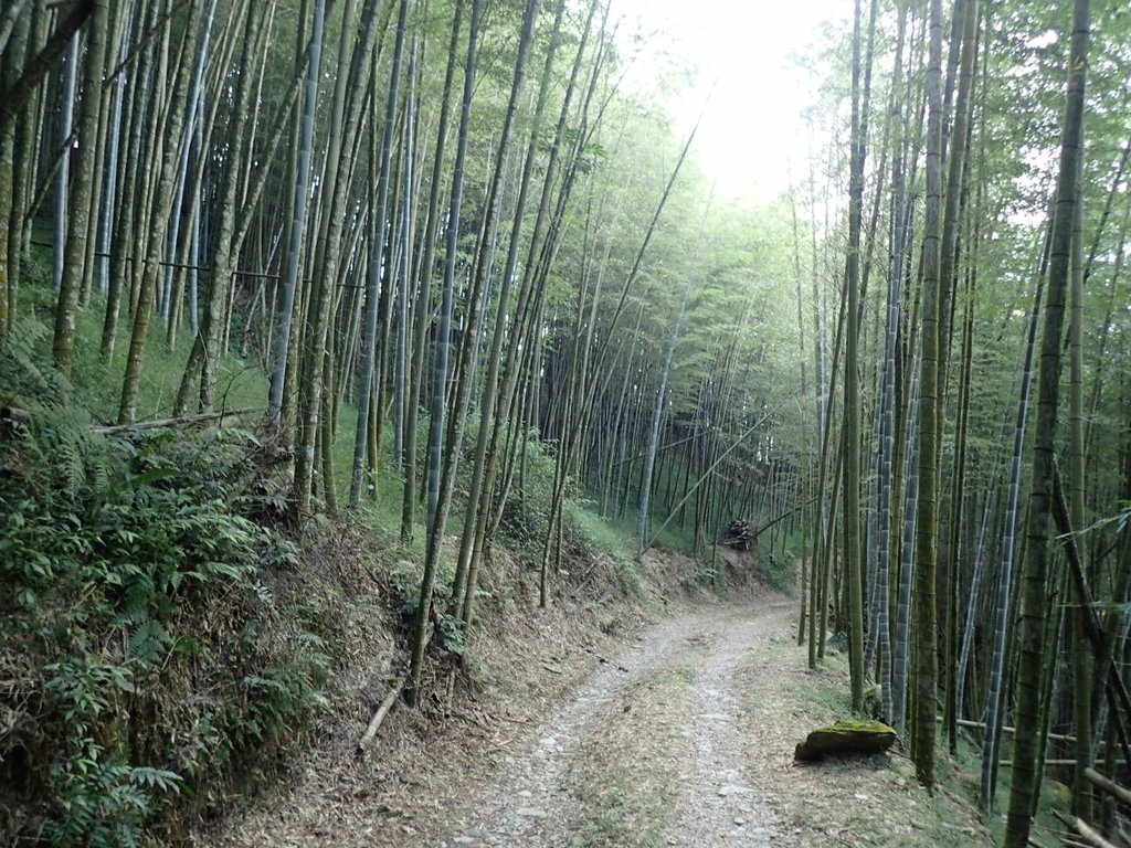 PA040500.JPG - 明潭四兄妹之  魚池  大尖山