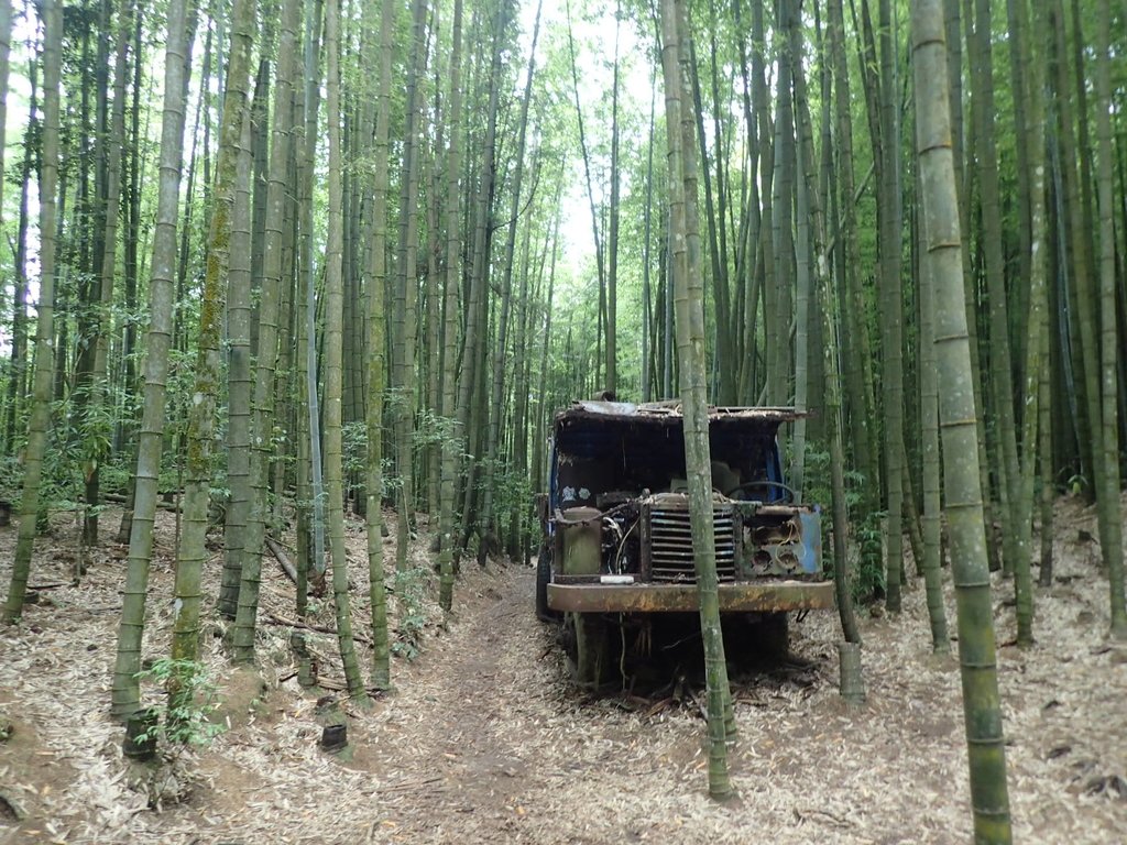 P7235897.JPG - 台中和平  長壽山登山步道  (中)