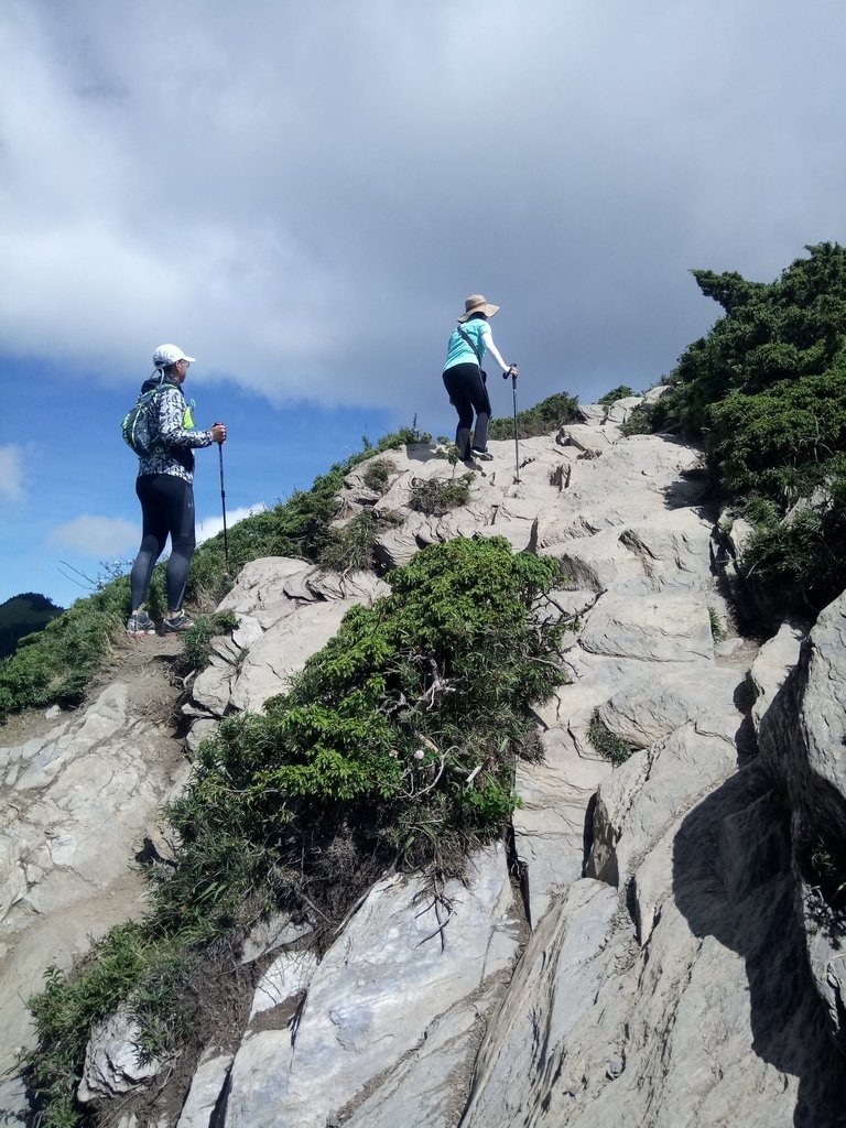 DSC_5355.JPG - 合歡山  北峰之美  (上)