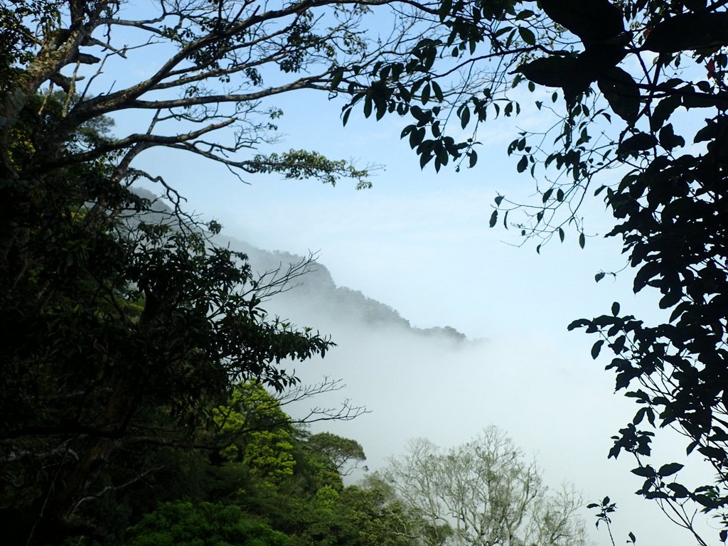 P4036914.JPG - 五峰  鵝公髻山登山步道  (02)