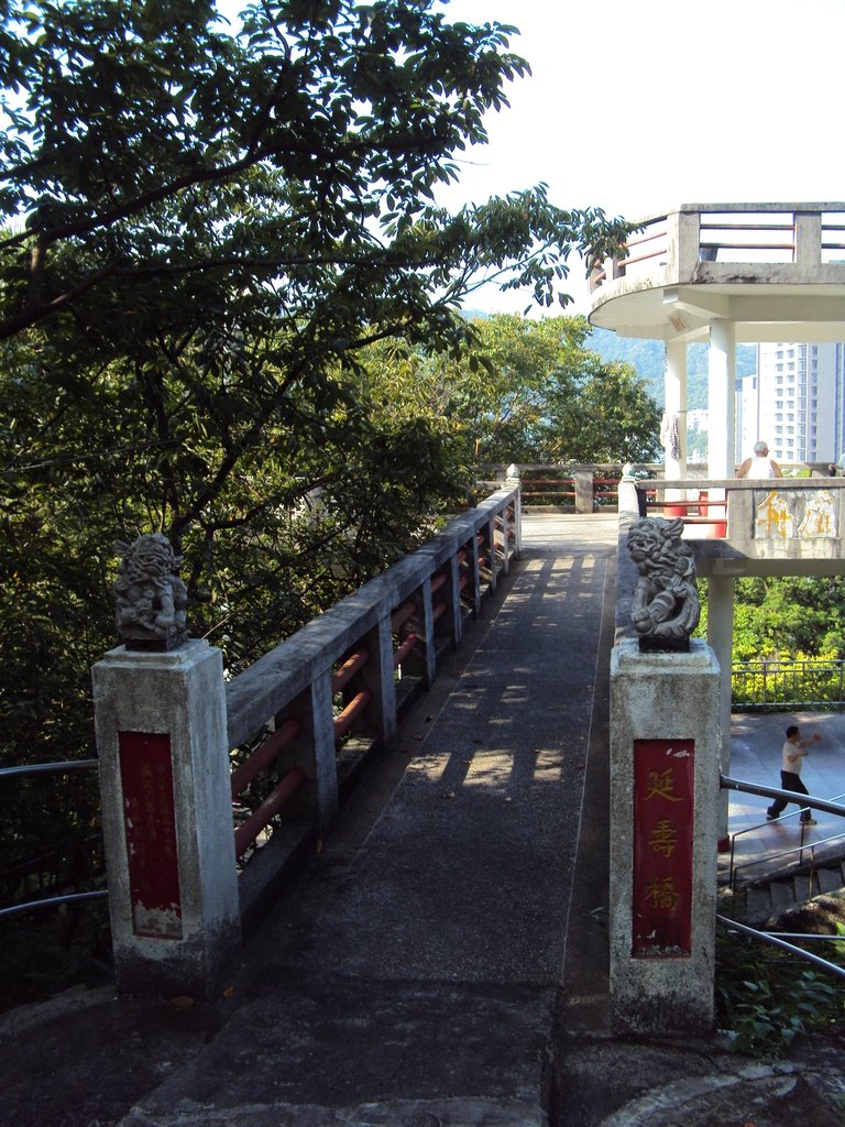 DSC00163.JPG - 基隆  中正公園  天鵝洞