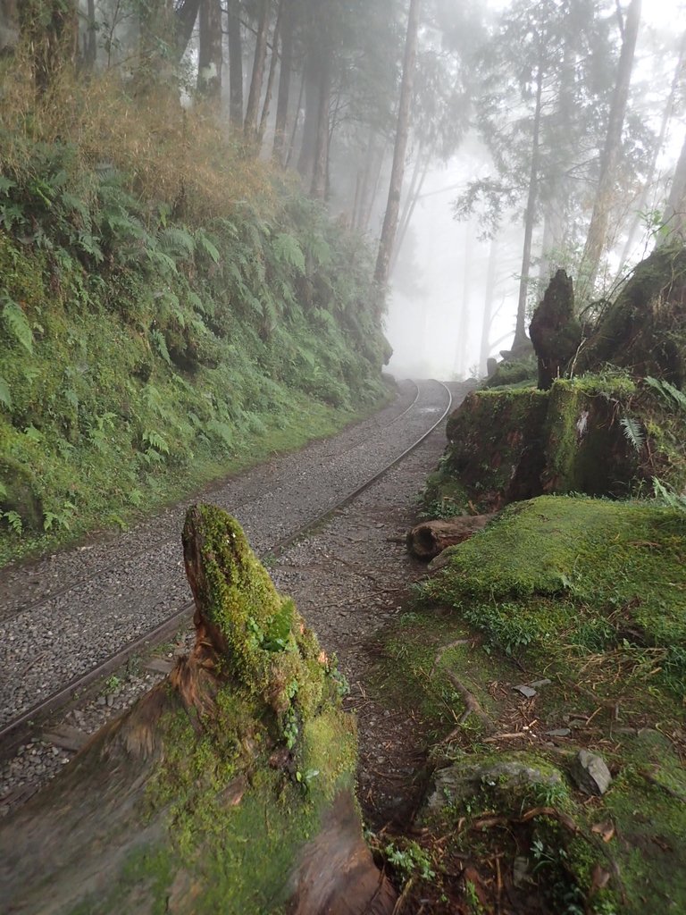 P8226787.JPG - 太平山 見晴懷古步道