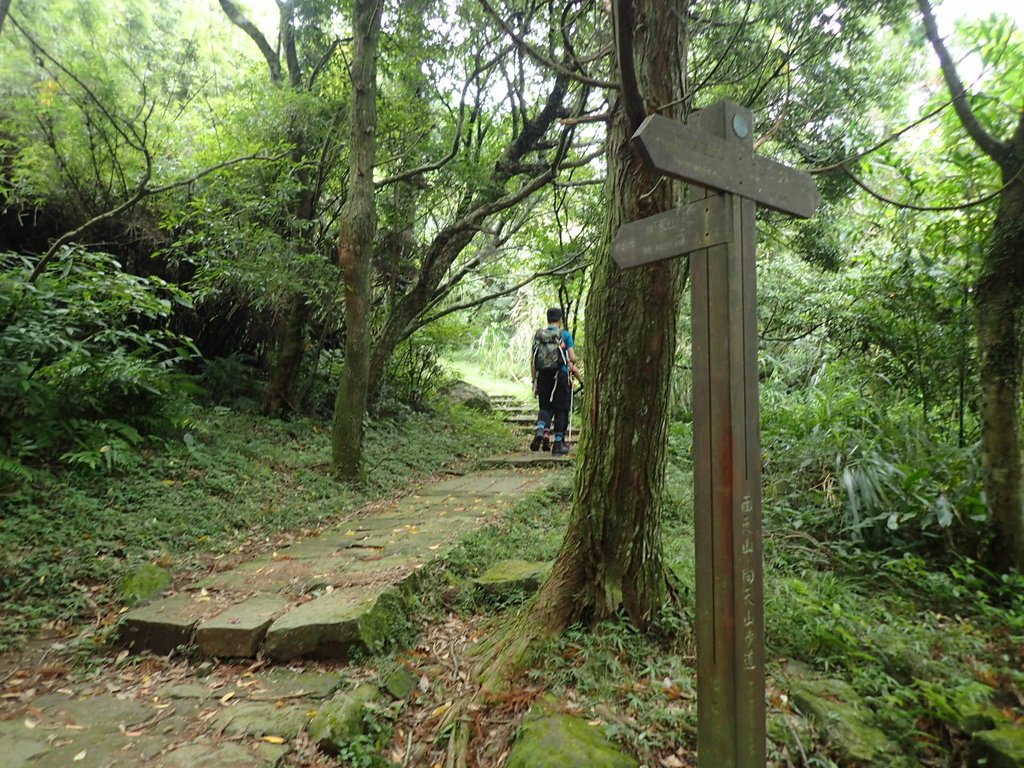 P9238261.JPG - 北投  面天山  向天湖步道