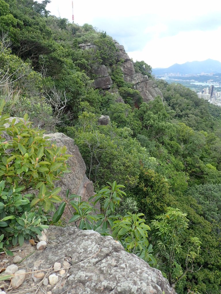 P9238374.JPG - 北投  熱海岩場