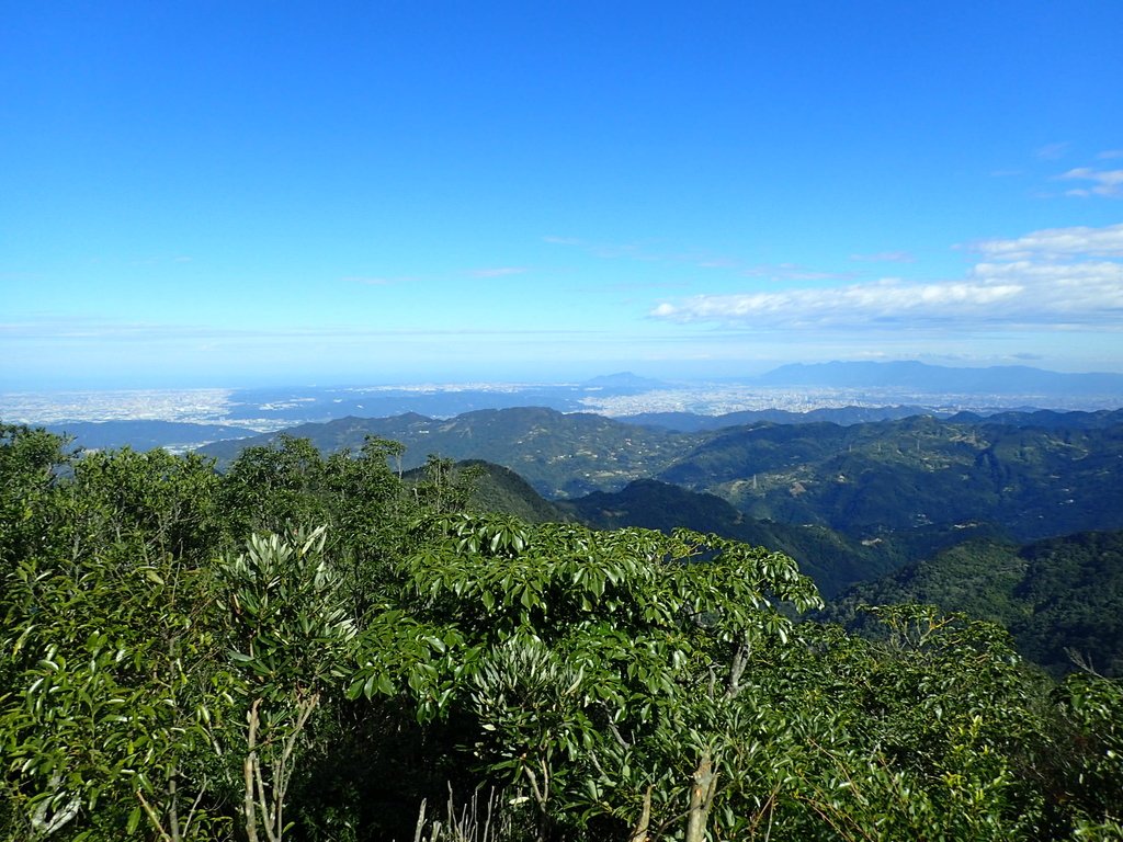 PB257507.JPG - 復興  東眼山森林步道