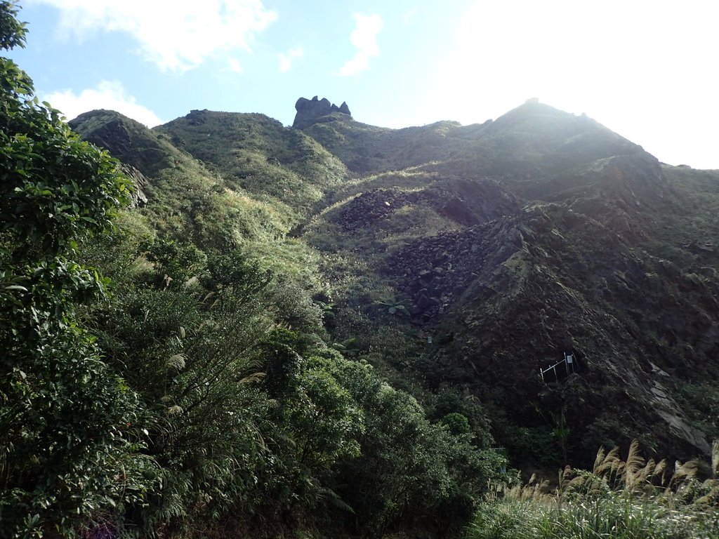 P1102359.JPG - 半坪山  無耳茶壺山