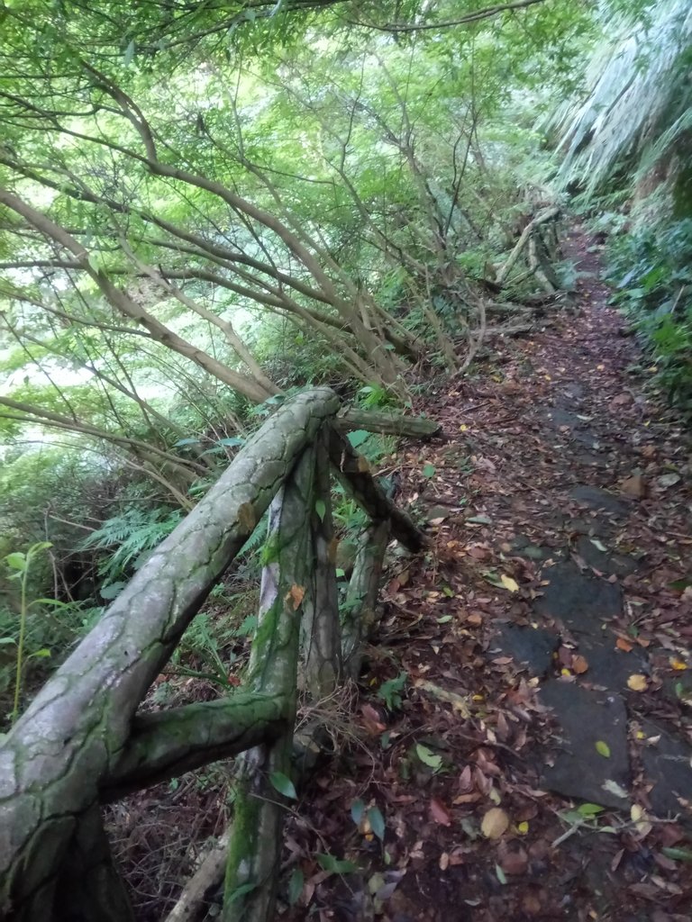 DSC_8797.JPG - 北投  中正山登山步道 03