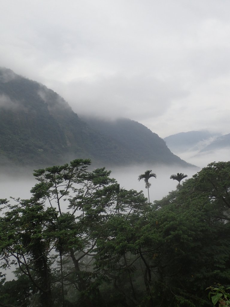 PA231554.JPG - 古坑  草嶺  雲山繚繞