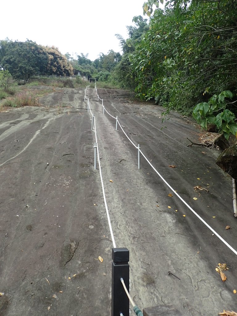 PA231654.JPG - 草嶺  茄苳步道  峭壁雄風