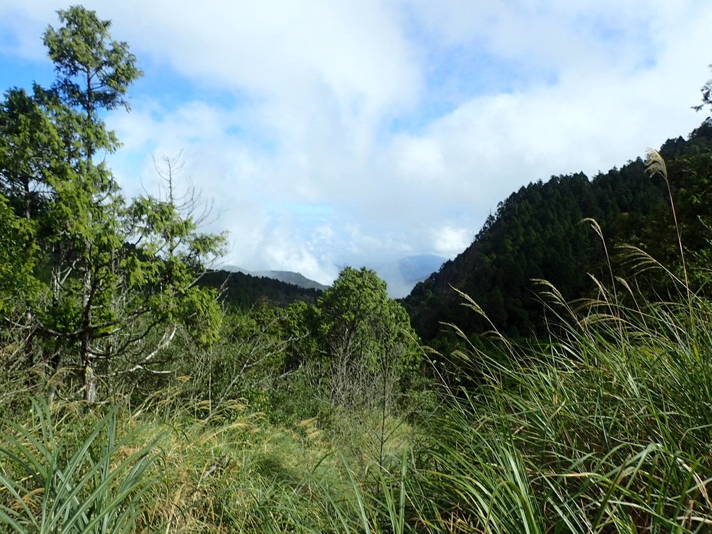 PB265389.JPG - 太平山  翠峰湖環山步道  02