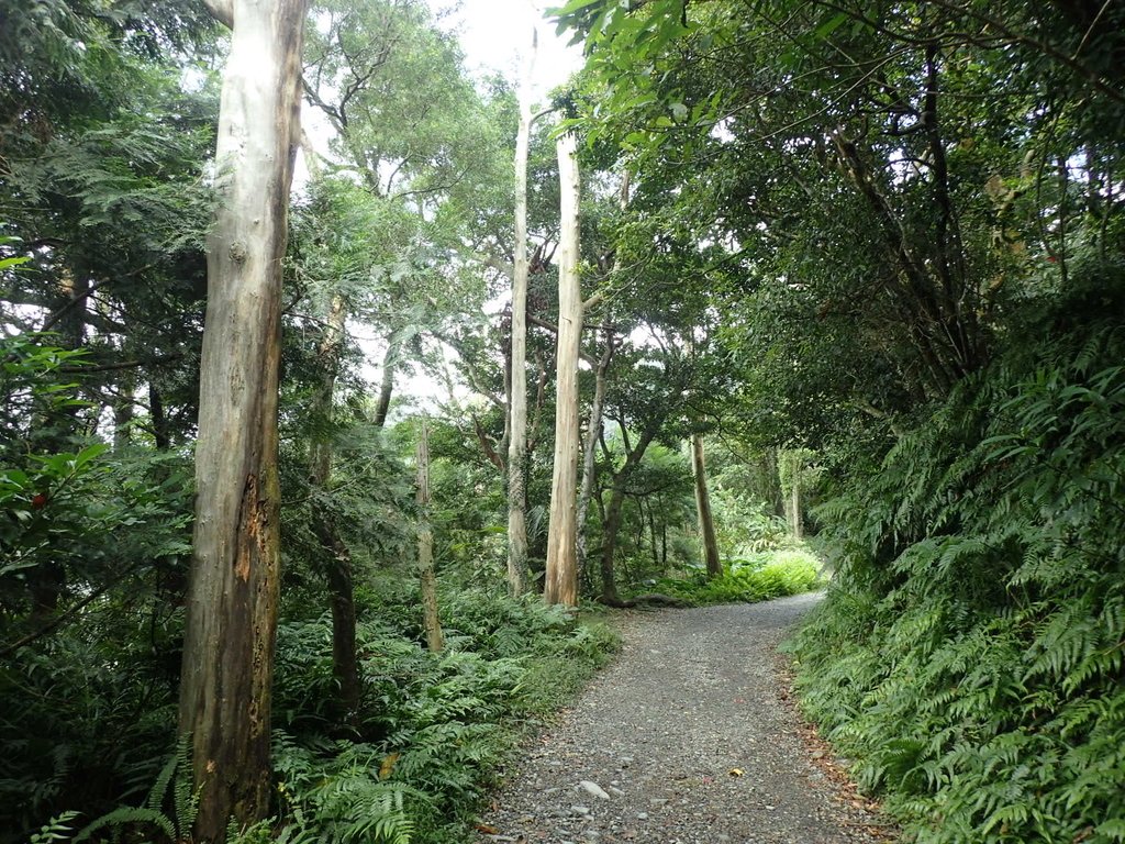 PB158997.JPG - 礁溪  聖母登山步道  (抹茶山)