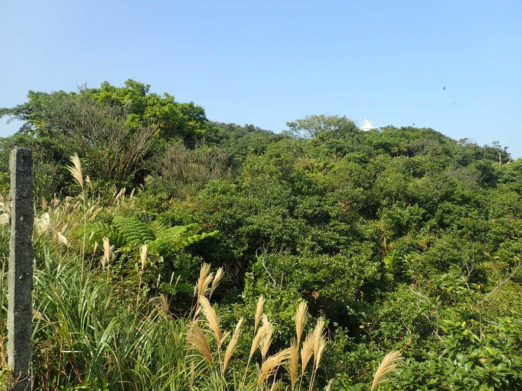 PB179575.JPG - 基隆  球子山(火號山)步道