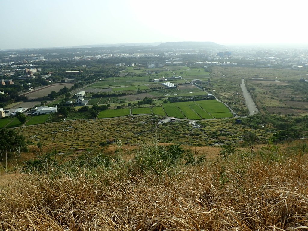 PA160996.JPG - 大甲  鐵砧山大草原