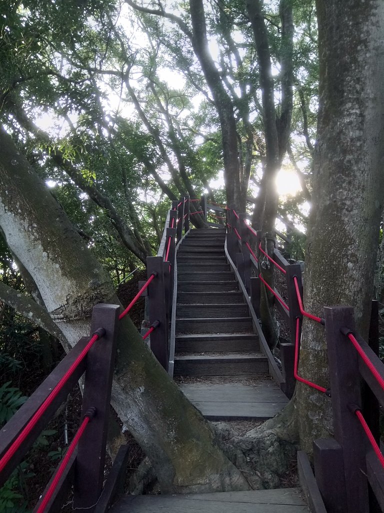 DSC_0692.JPG - 潭子 聚興山  新田登山步道