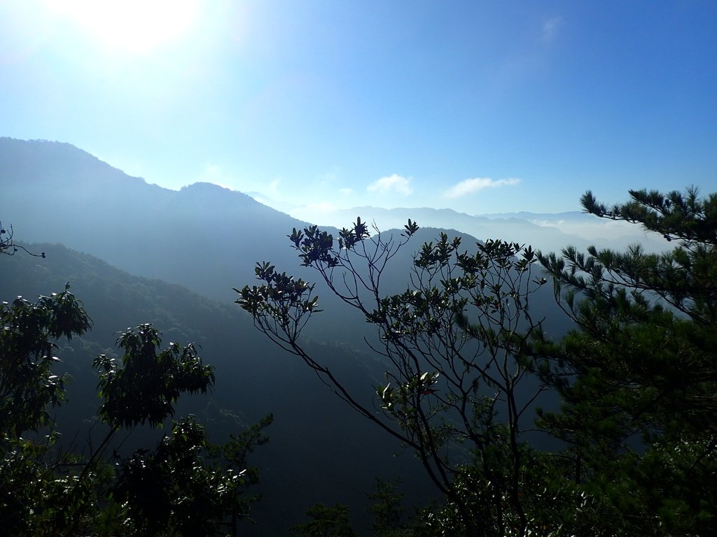 PA185492.JPG - 再訪---  台中  和平  鳶嘴山