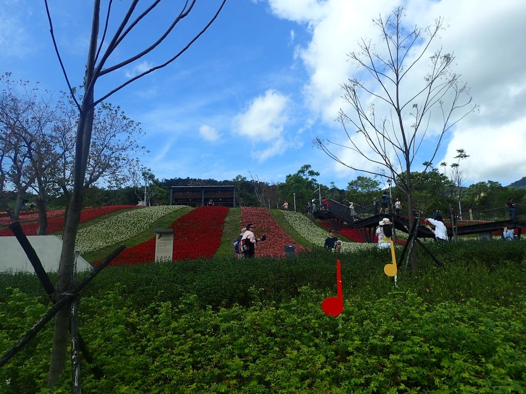 P2155425.JPG - 北投社  三層崎公園