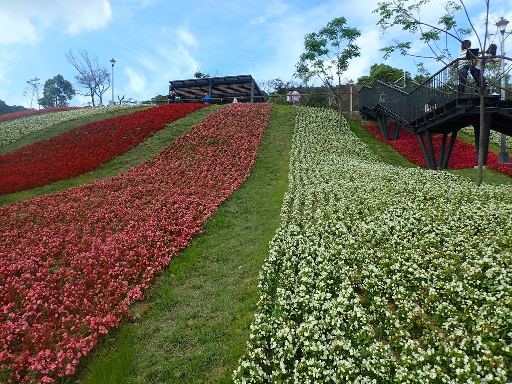 P2155434.JPG - 北投社  三層崎公園