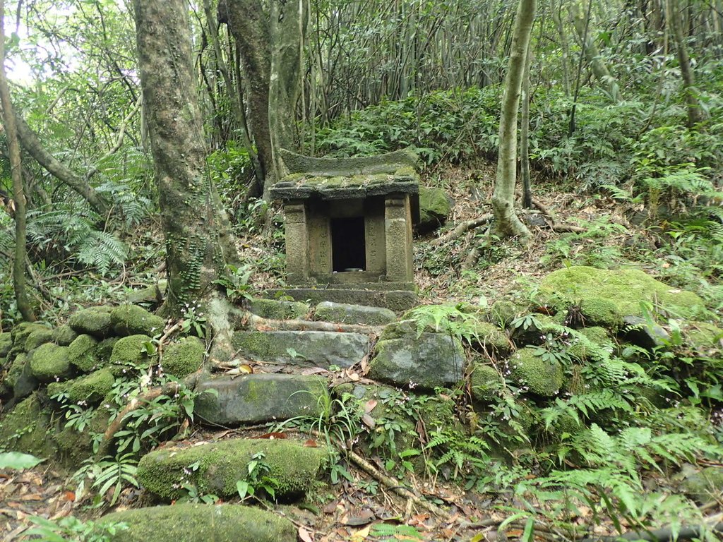 P3308236.JPG - 萬里  大路嶺古道行