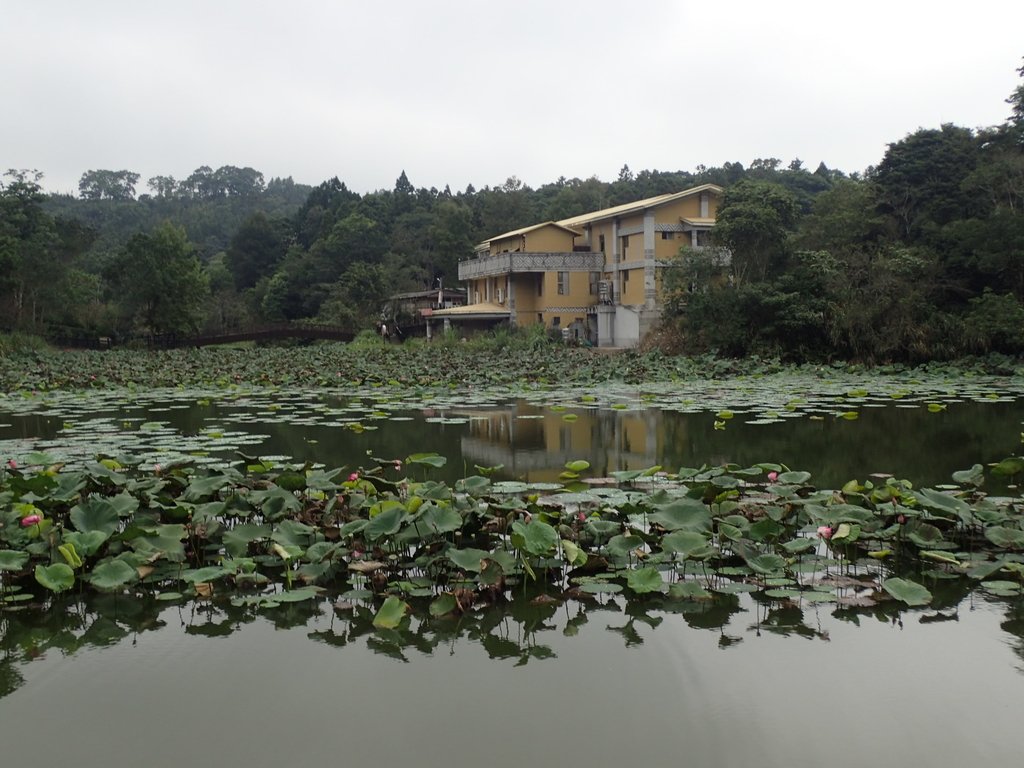 P9250265.JPG - 南庄  向天湖之  環湖步道