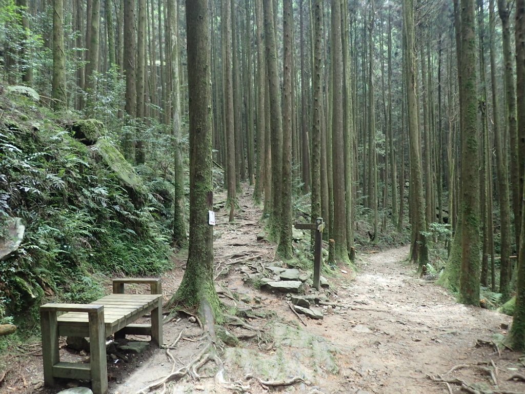 P7235914.JPG - 台中  和平  橫嶺山自然步道