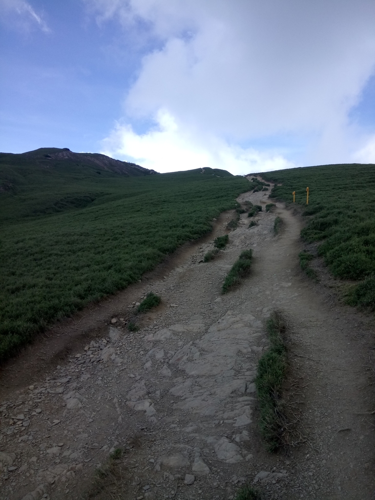 DSC_5362.JPG - 合歡山  北峰之美  (上)