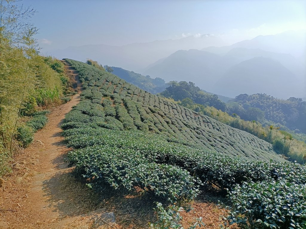 IMG20210130092429.jpg - 雲嘉連峰之  太平山  梨子腳山