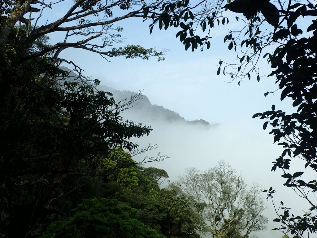 P4036915.JPG - 五峰  鵝公髻山登山步道  (02)