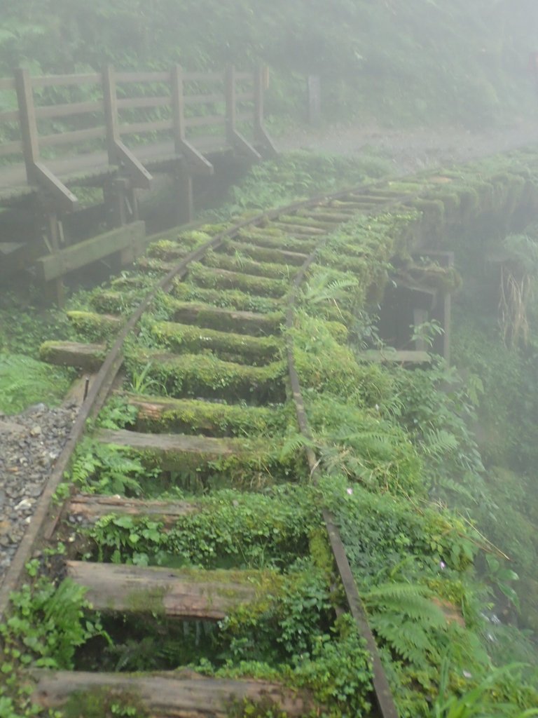 P8226800.JPG - 太平山 見晴懷古步道