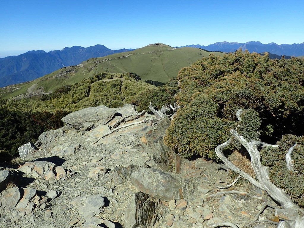 PC132145.JPG - 合歡山  東峰