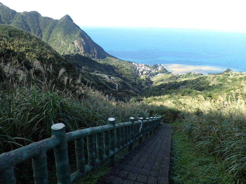 P1102363.JPG - 半坪山  無耳茶壺山