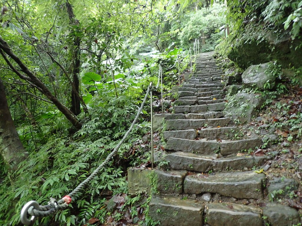 P1062075.JPG - 土城  天上山  登山步道