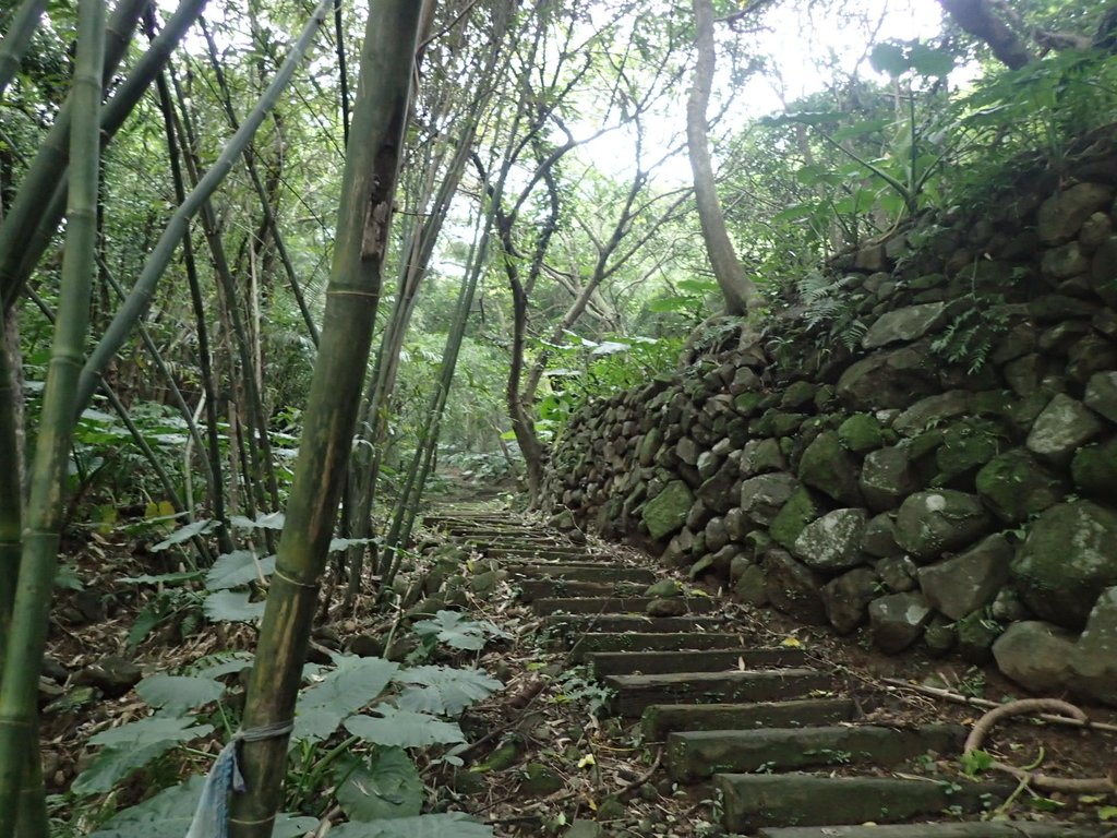 P1263959.JPG - 金山  大路崁古道