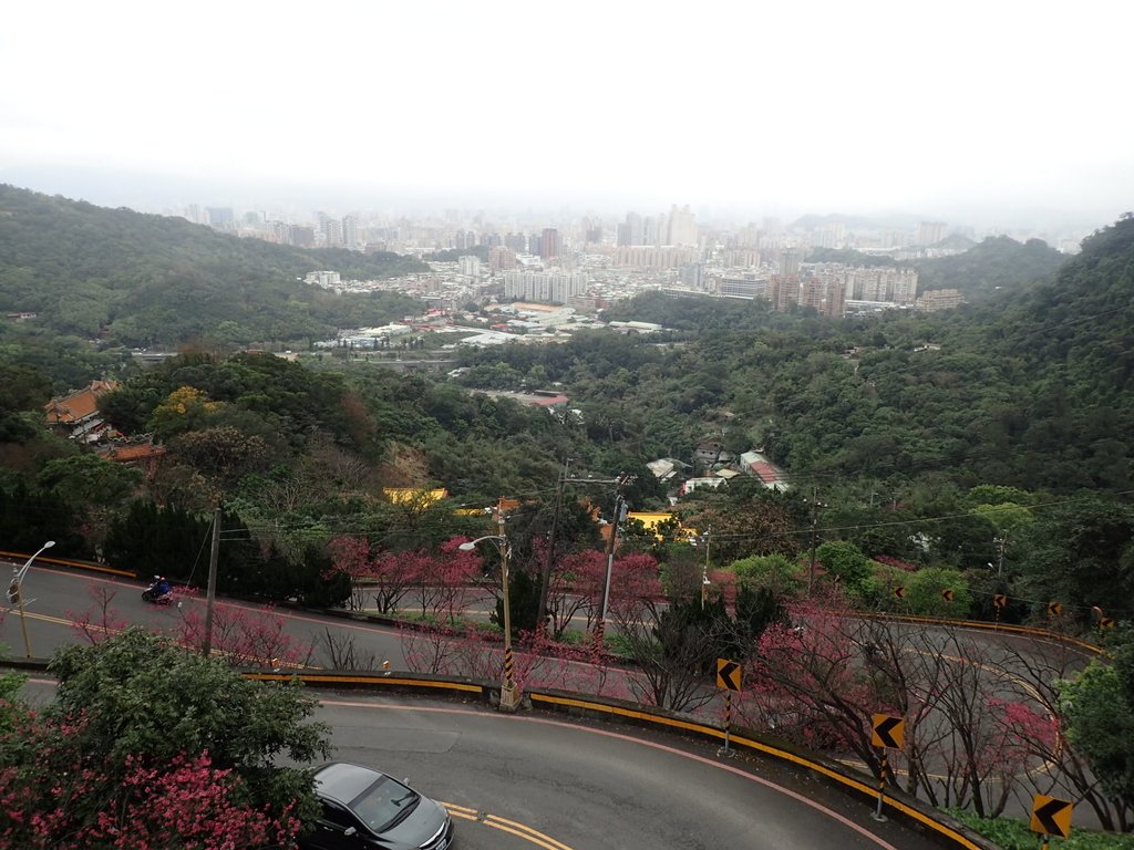 P2178167.JPG - 中和  南勢角山  (烘爐地)