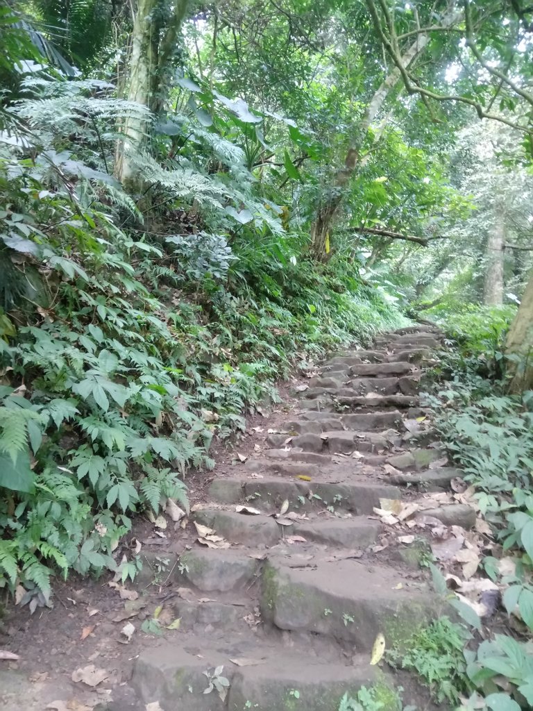 DSC_4866.JPG - 大溪  溪洲山登山步道