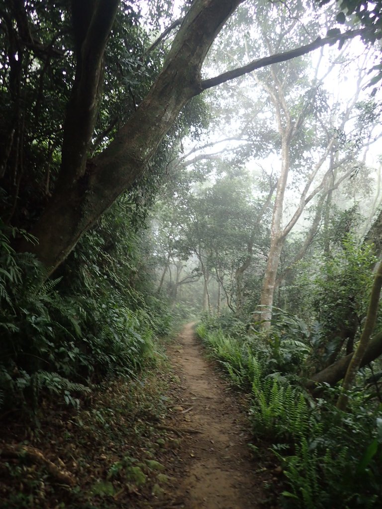 P2107531.JPG - 大溪  溪洲山登山步道