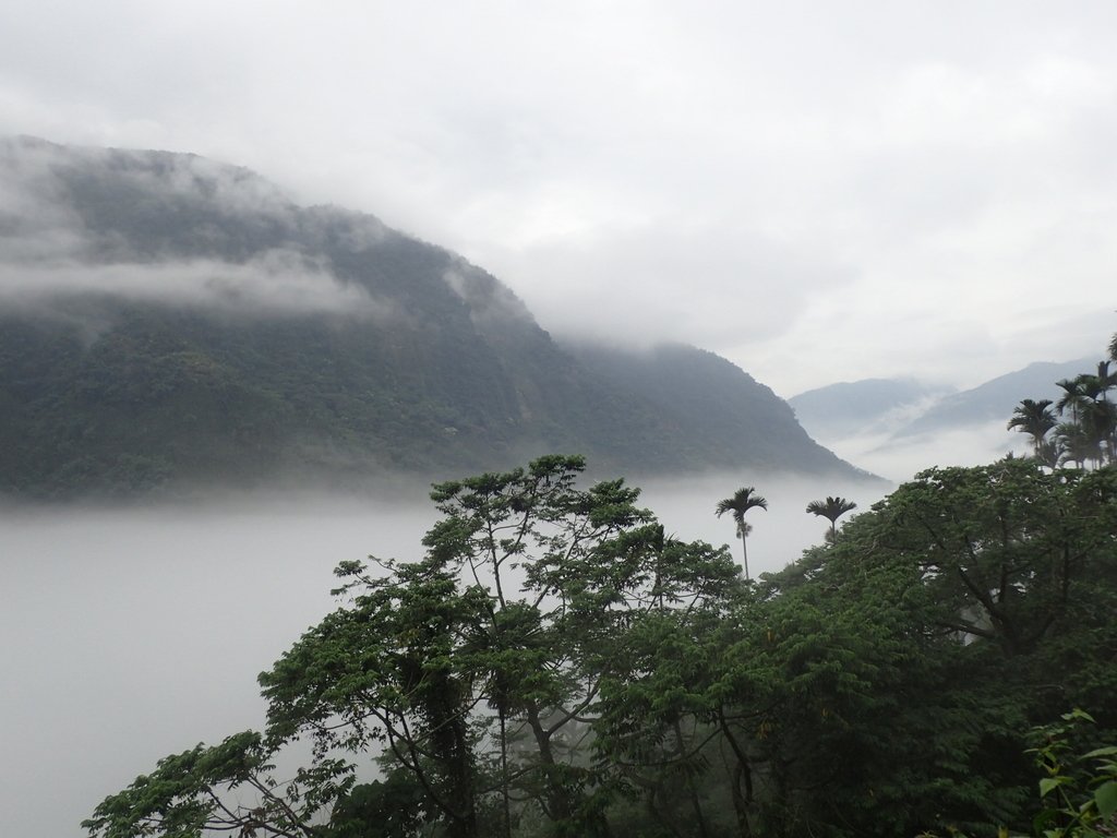 PA231556.JPG - 古坑  草嶺  雲山繚繞