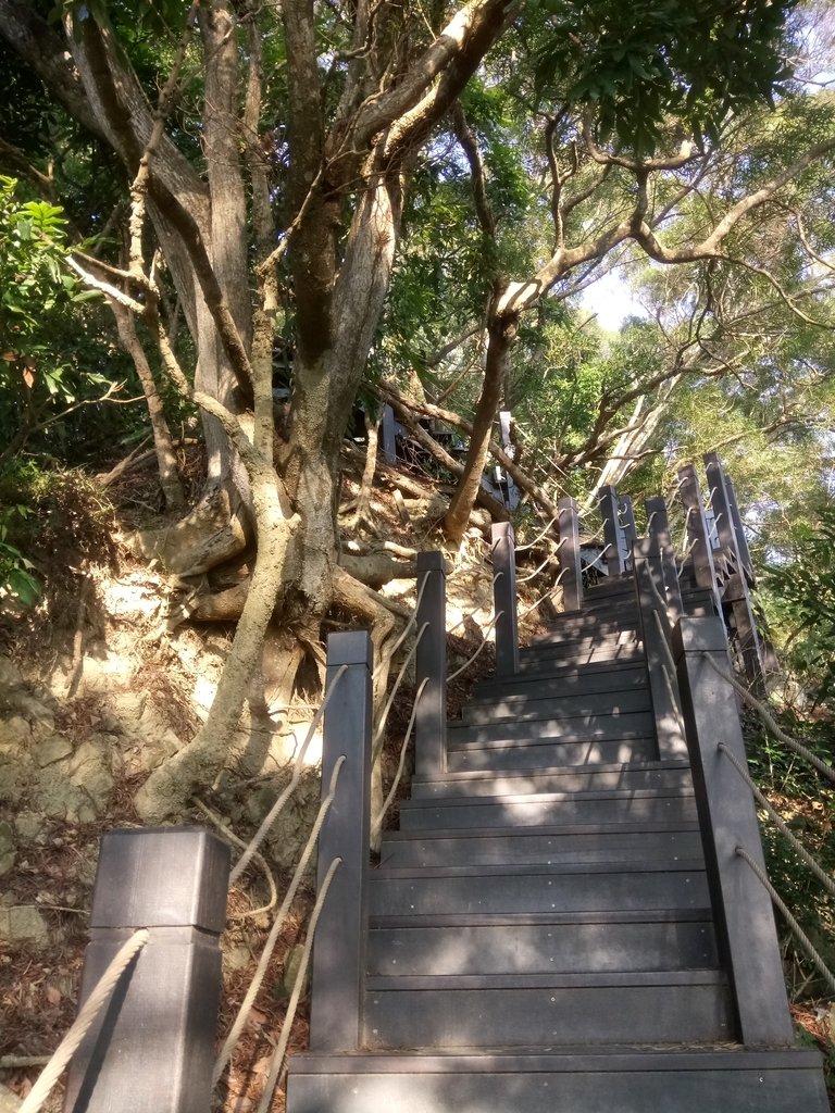 DSC_0696.JPG - 潭子 聚興山  新田登山步道