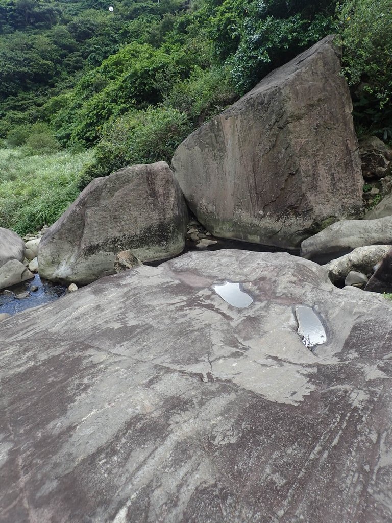 P8317624.JPG - 瑞芳  雷霆岩下之  溪谷風情