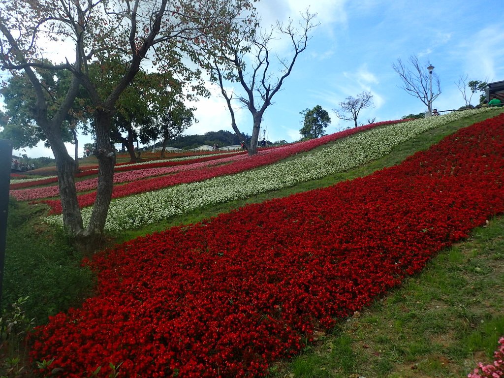 P2155427.JPG - 北投社  三層崎公園