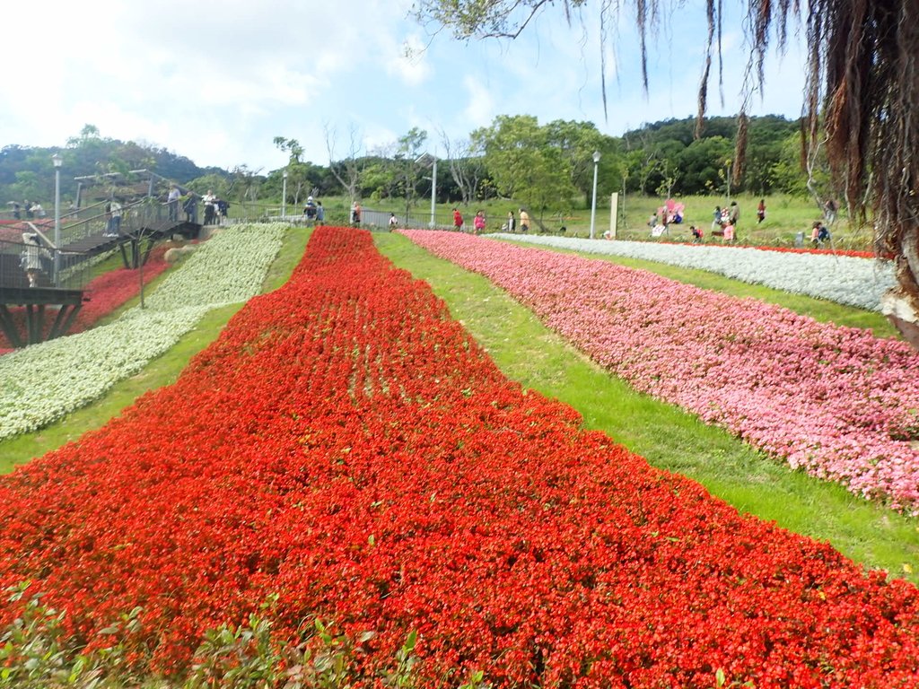 P2155438.JPG - 北投社  三層崎公園