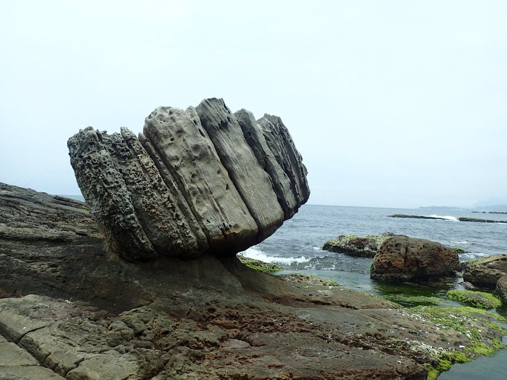 P5163278.JPG - 萬里  拳頭石海岸