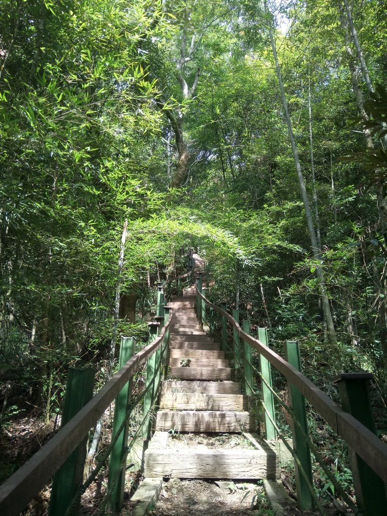 DSC_0182.JPG - 魚池  頭社  後尖山步道