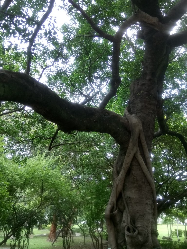 DSC_0106.JPG - 台中公園之  日治遺跡巡禮