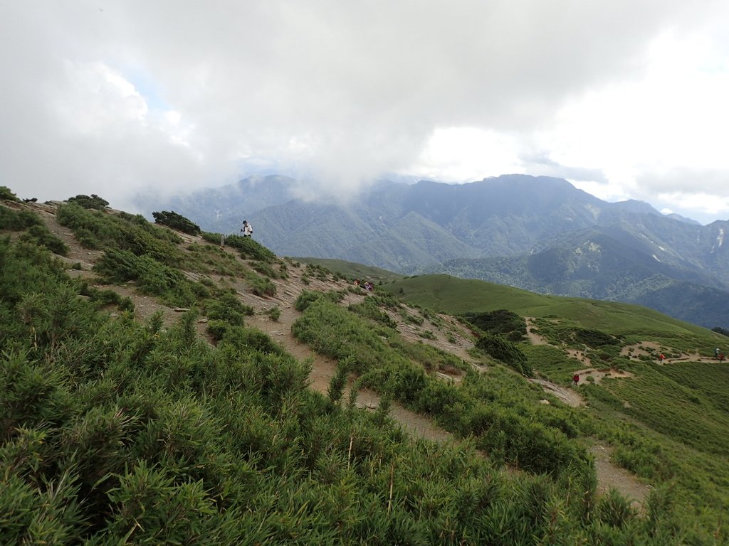 P7246004.JPG - 合歡山  北峰之美  (中)