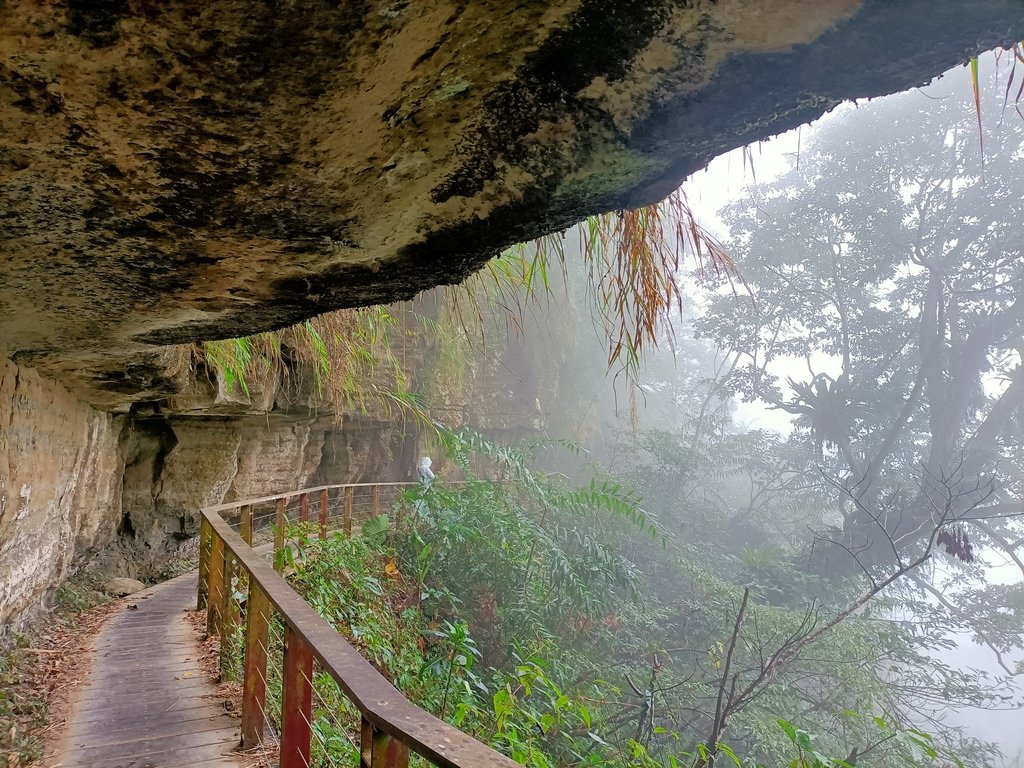 IMG20210108120236.jpg - 梅山  瑞峰村  竹坑溪步道