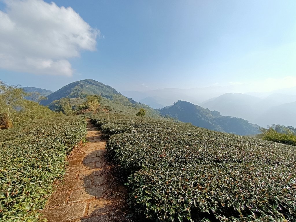 IMG20210130092658.jpg - 雲嘉連峰之  太平山  梨子腳山